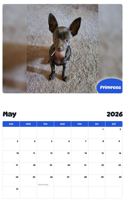 2026 - 2027 Primrose - Pawidols Pet Calendar