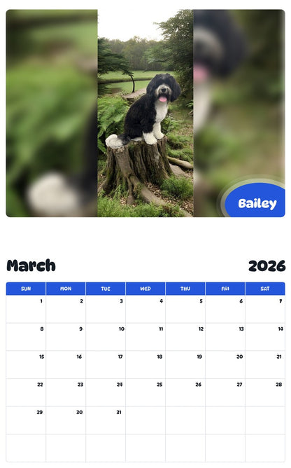November 2025 - October 2026 Bailey - Pawidols Pet Calendar