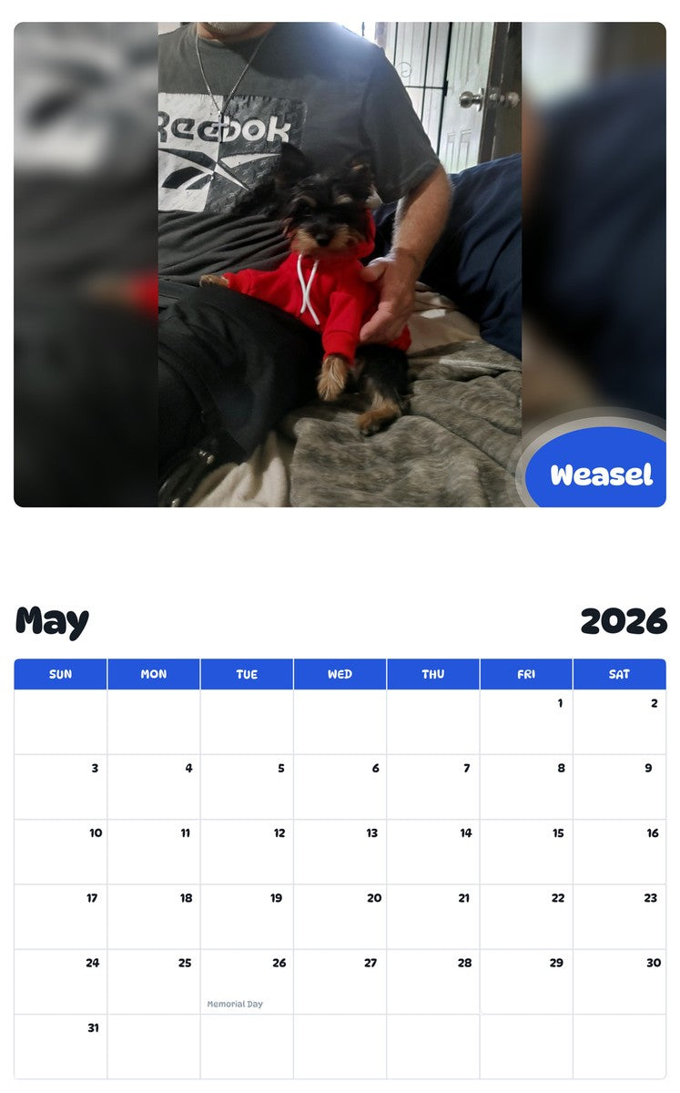 2026 - 2027 Weasel - Pawidols Pet Calendar