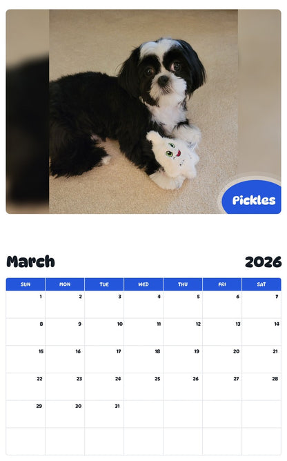 November 2025 - October 2026 Pickles - Pawidols Pet Calendar