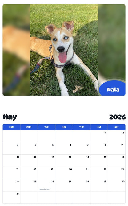 2026 - 2027 Nala - Pawidols Pet Calendar