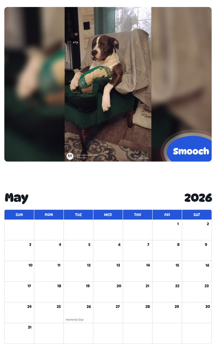 2026 - 2027 Smooch - Pawidols Pet Calendar
