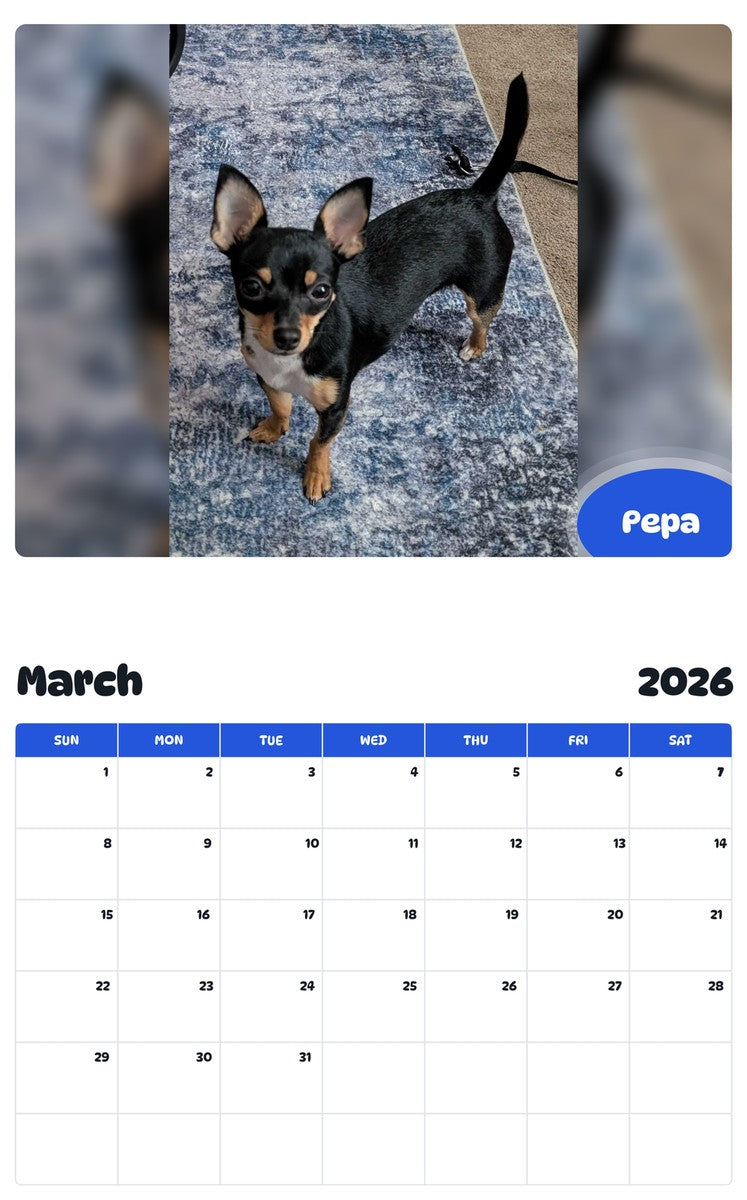 November 2025 - October 2026 Pepa - Pawidols Pet Calendar