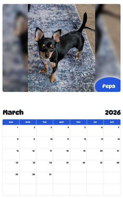 November 2025 - October 2026 Pepa - Pawidols Pet Calendar