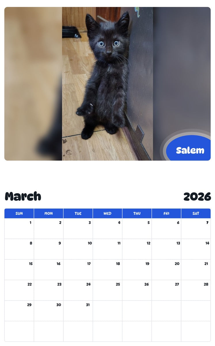 November 2025 - October 2026 Salem - Pawidols Pet Calendar