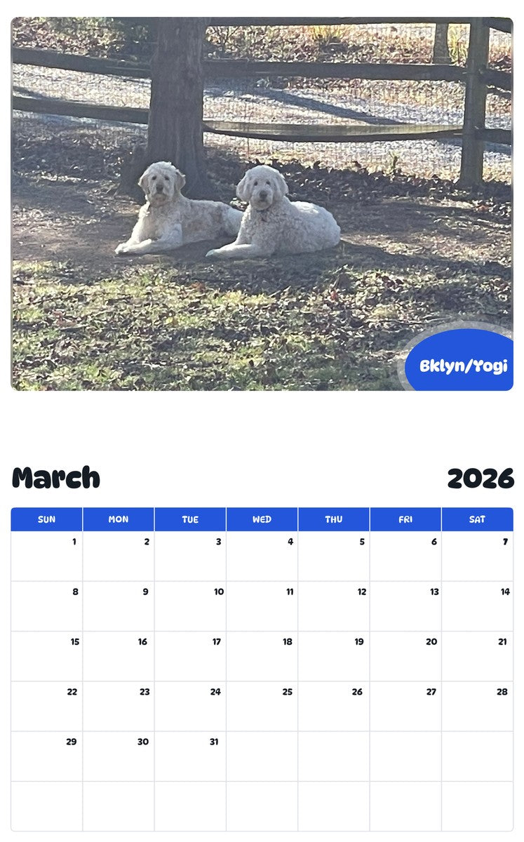 November 2025 - October 2026 Bklyn/Yogi - Pawidols Pet Calendar