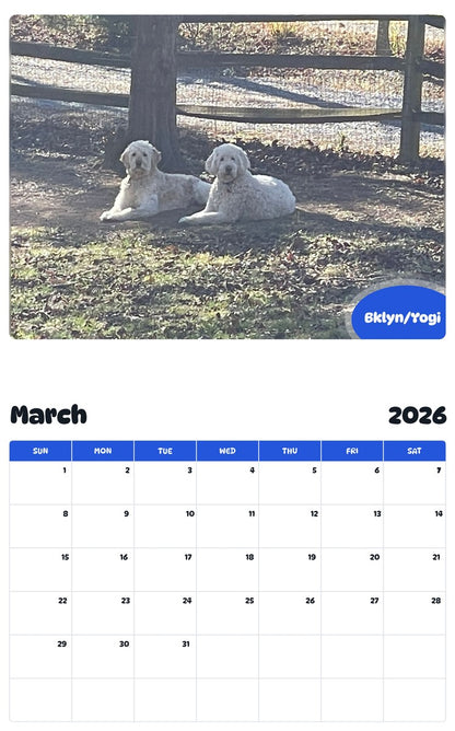 November 2025 - October 2026 Bklyn/Yogi - Pawidols Pet Calendar