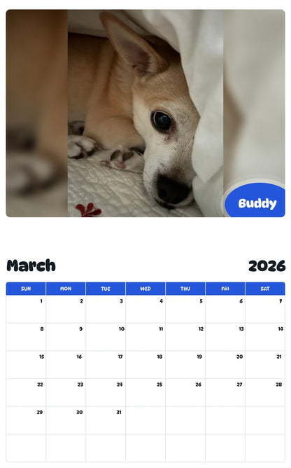 November 2025 - October 2026 Buddy - Pawidols Pet Calendar