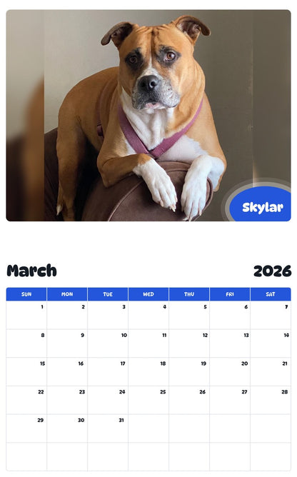 November 2025 - October 2026 Skylar - Pawidols Pet Calendar