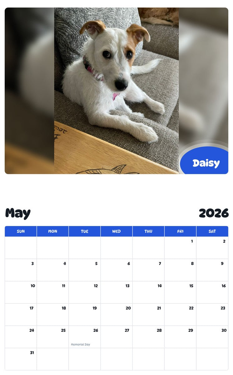 2026 - 2027 Daisy - Pawidols Pet Calendar