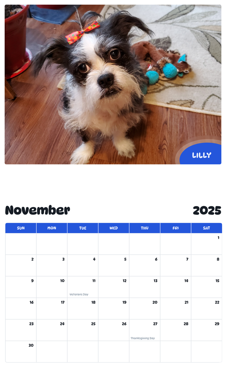 July 2025 - June 2026 Lilly - Pawidols Pet Calendar