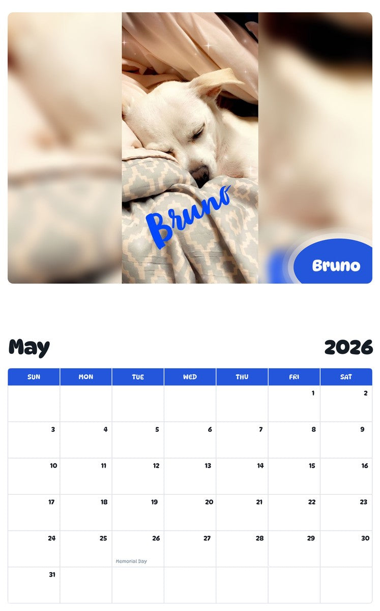 2026 - 2027 Bruno - Pawidols Pet Calendar