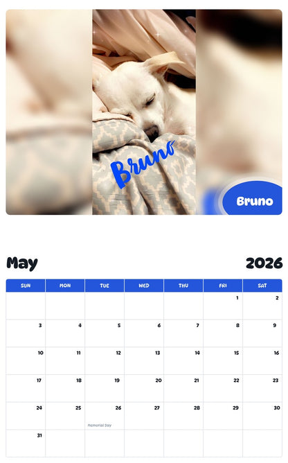 2026 - 2027 Bruno - Pawidols Pet Calendar