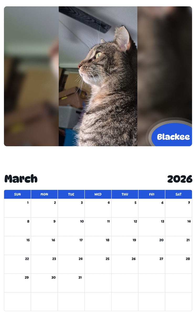 November 2025 - October 2026 Blackee - Pawidols Pet Calendar