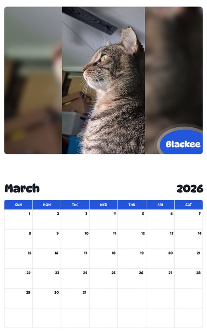 November 2025 - October 2026 Blackee - Pawidols Pet Calendar