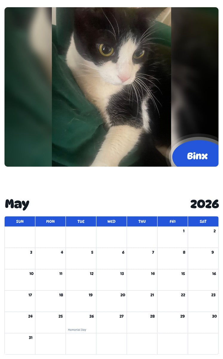 2026 - 2027 Binx - Pawidols Pet Calendar