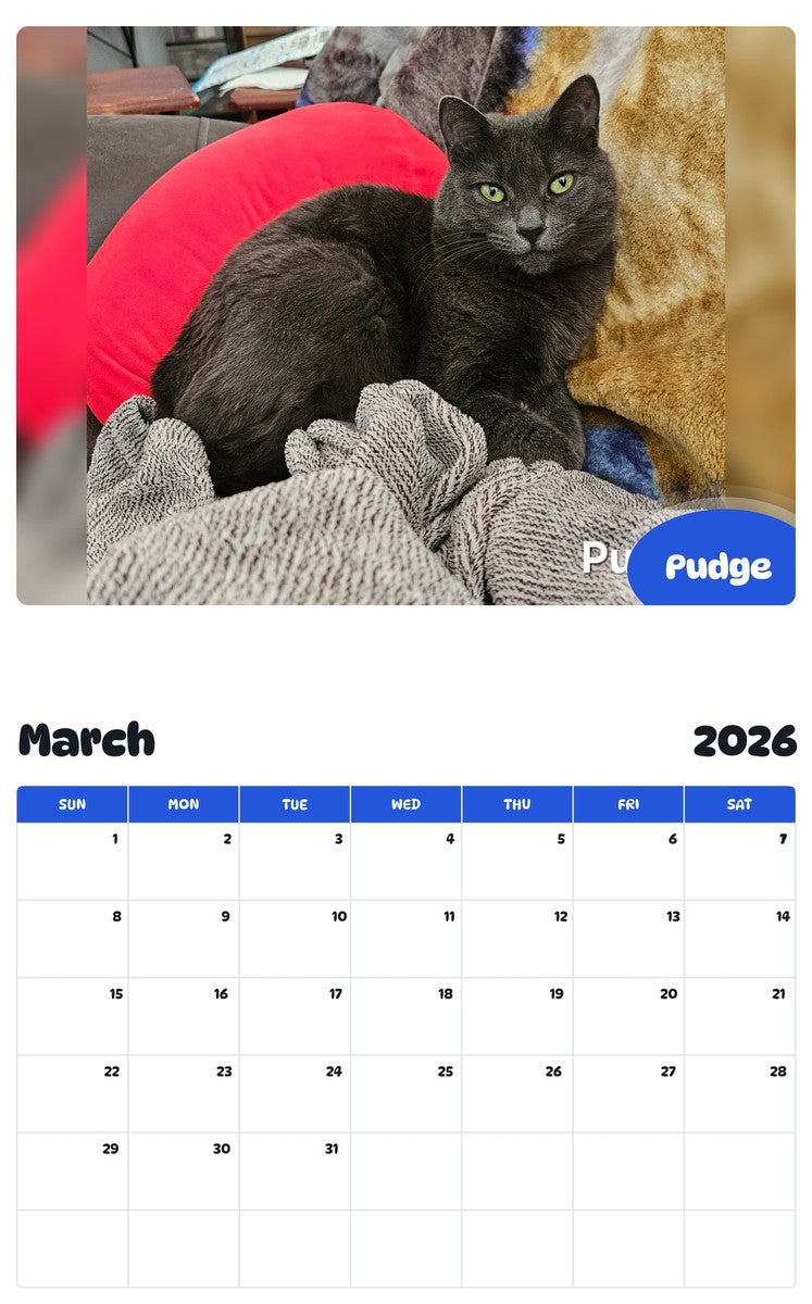 November 2025 - October 2026 Pudge - Pawidols Pet Calendar