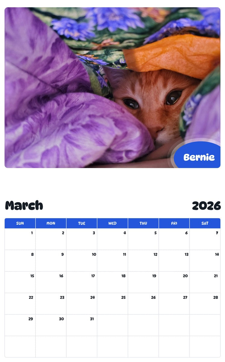 November 2025 - October 2026 Bernie - Pawidols Pet Calendar