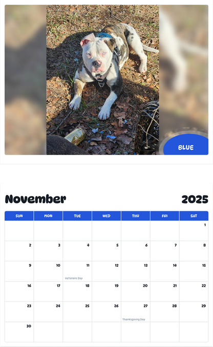 July 2025 - June 2026 Blue - Pawidols Pet Calendar