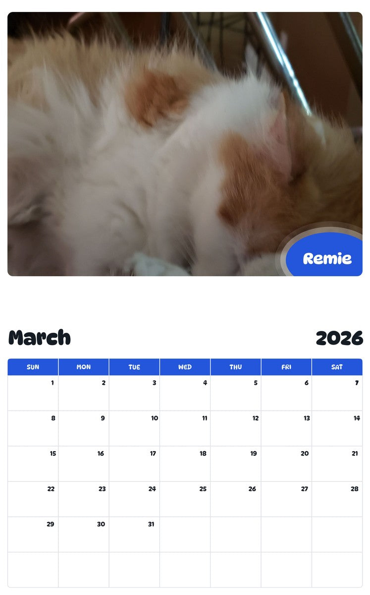 November 2025 - October 2026 Remie - Pawidols Pet Calendar