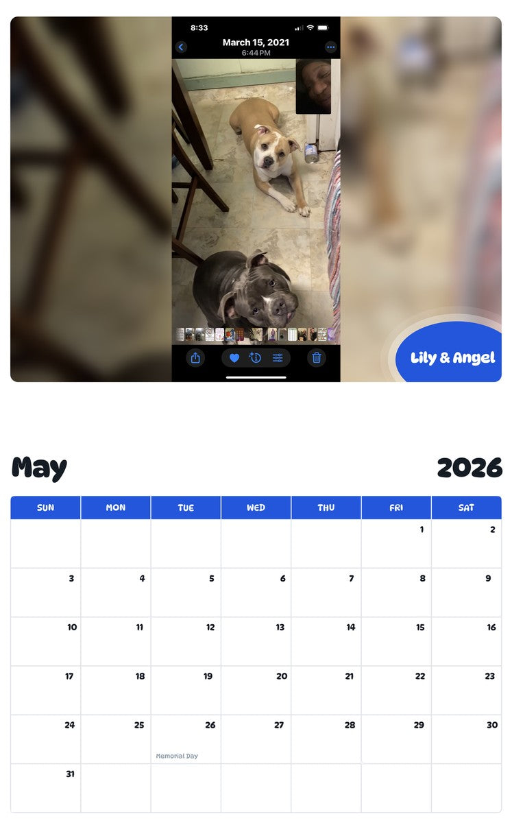 2026 - 2027 Lily & Angel - Pawidols Pet Calendar