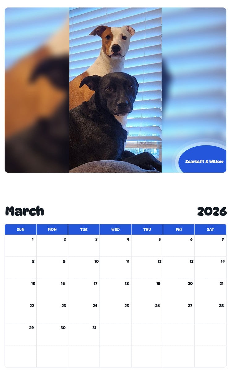 November 2025 - October 2026 Scarlett & Willow - Pawidols Pet Calendar