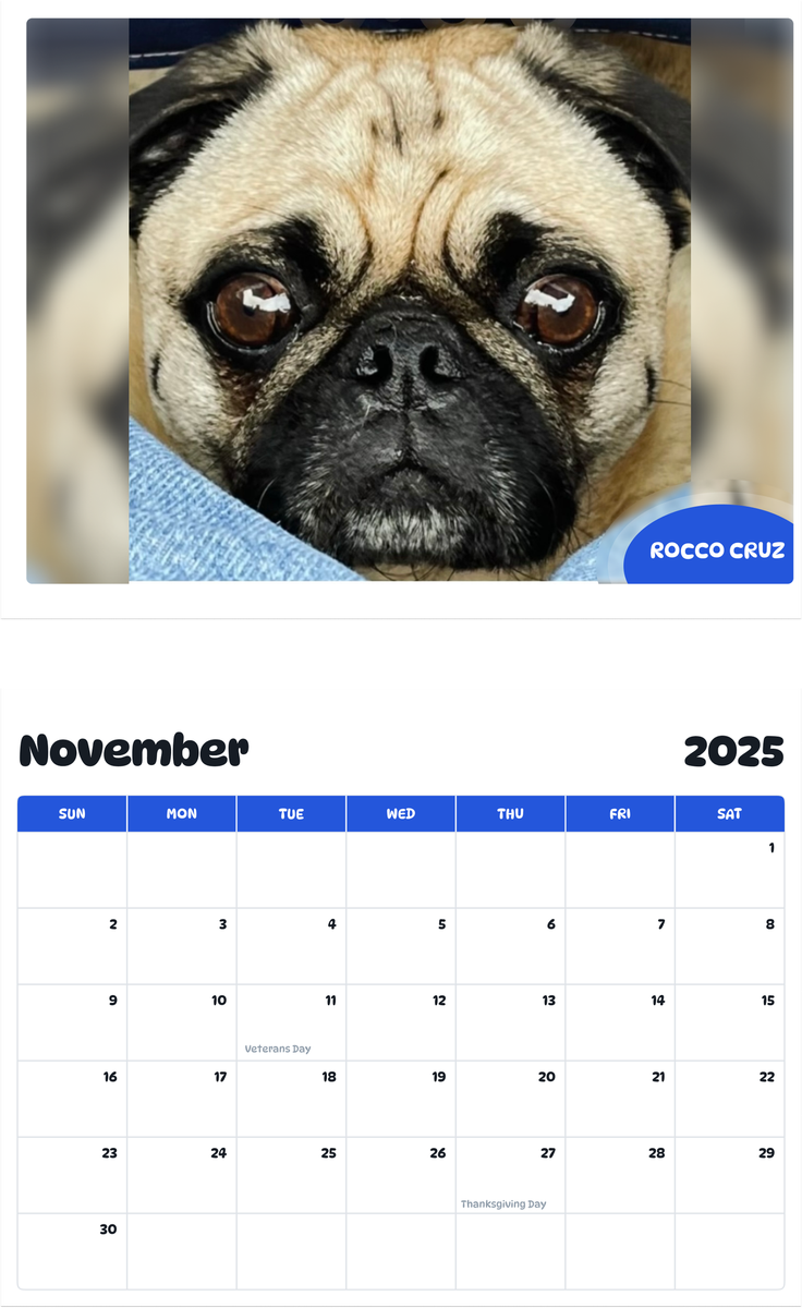 July 2025 - June 2026 Rocco Cruz - Pawidols Pet Calendar