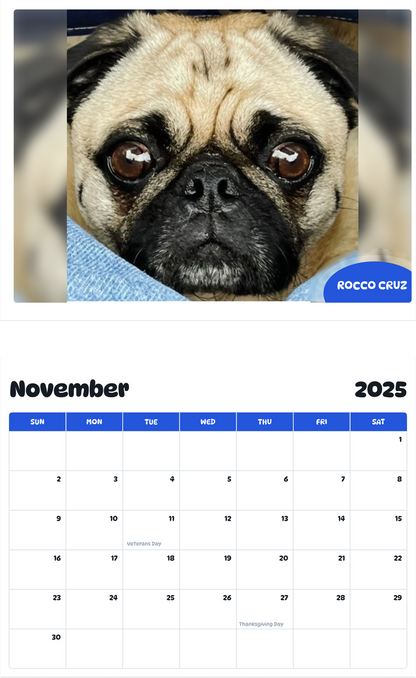 July 2025 - June 2026 Rocco Cruz - Pawidols Pet Calendar