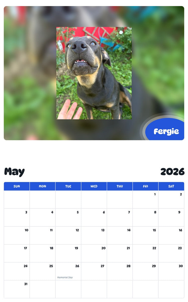 2026 - 2027 Fergie - Pawidols Pet Calendar
