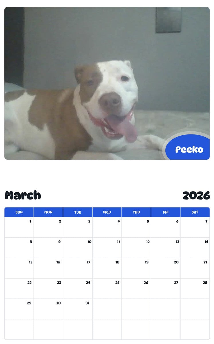 November 2025 - October 2026 Peeko - Pawidols Pet Calendar