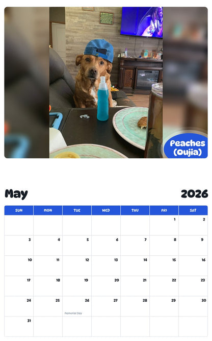 2026 - 2027 Peaches (Oujia) - Pawidols Pet Calendar