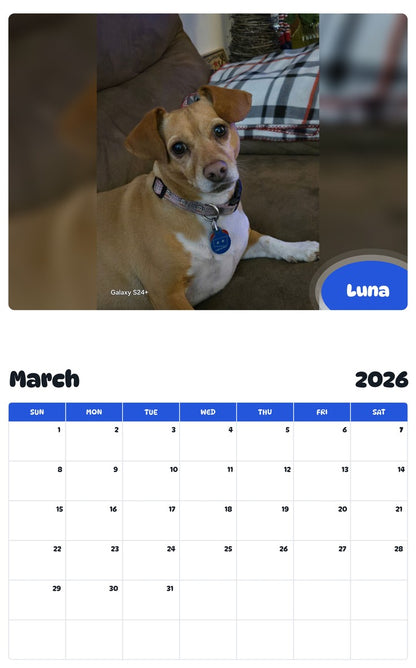 November 2025 - October 2026 Luna - Pawidols Pet Calendar