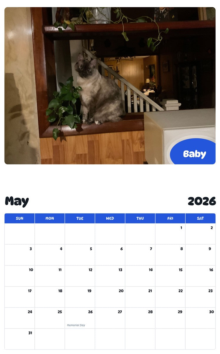 2026 - 2027 Baby - Pawidols Pet Calendar