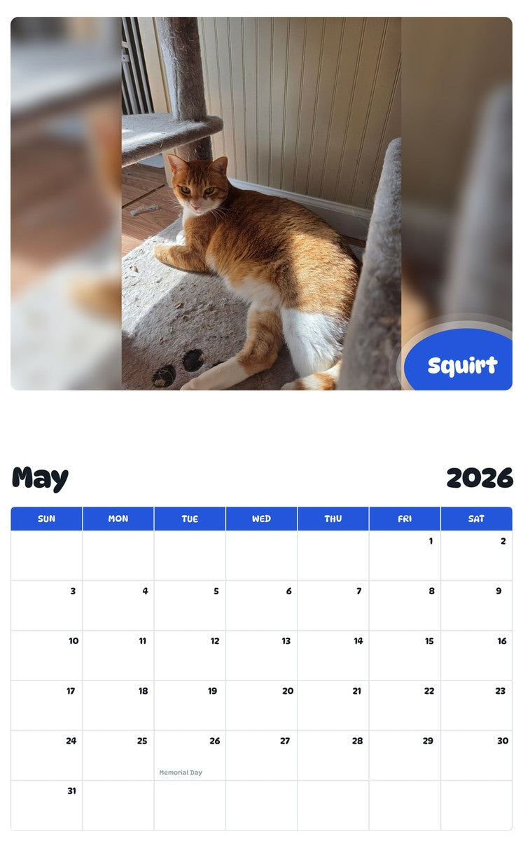 2026 - 2027 Squirt - Pawidols Pet Calendar