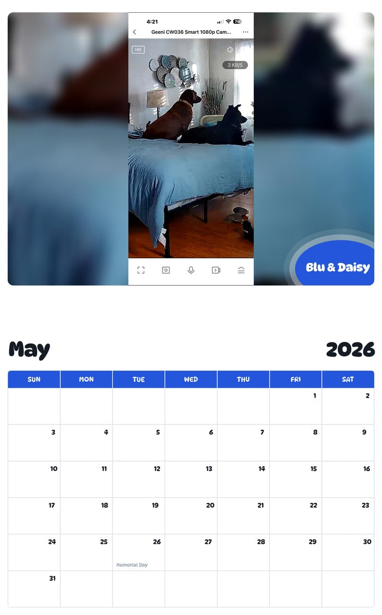 2026 - 2027 Blu & Daisy - Pawidols Pet Calendar