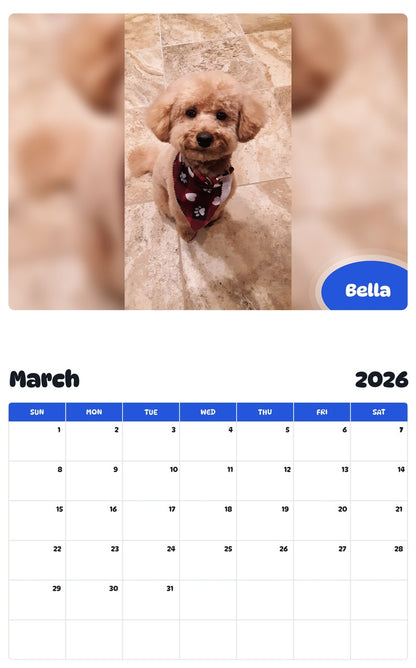 November 2025 - October 2026 Bella - Pawidols Pet Calendar