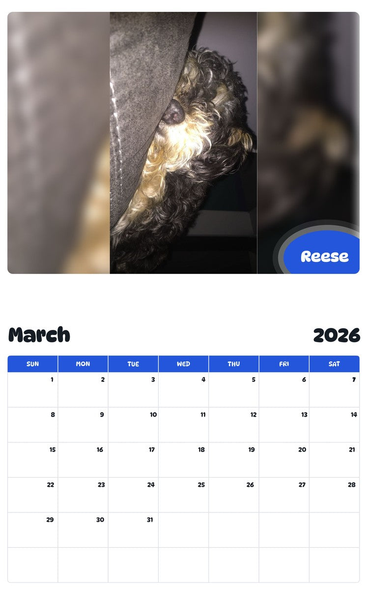 November 2025 - October 2026 Reese - Pawidols Pet Calendar