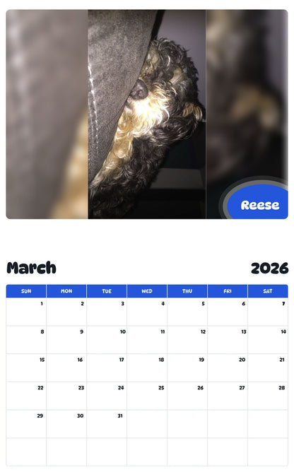 November 2025 - October 2026 Reese - Pawidols Pet Calendar