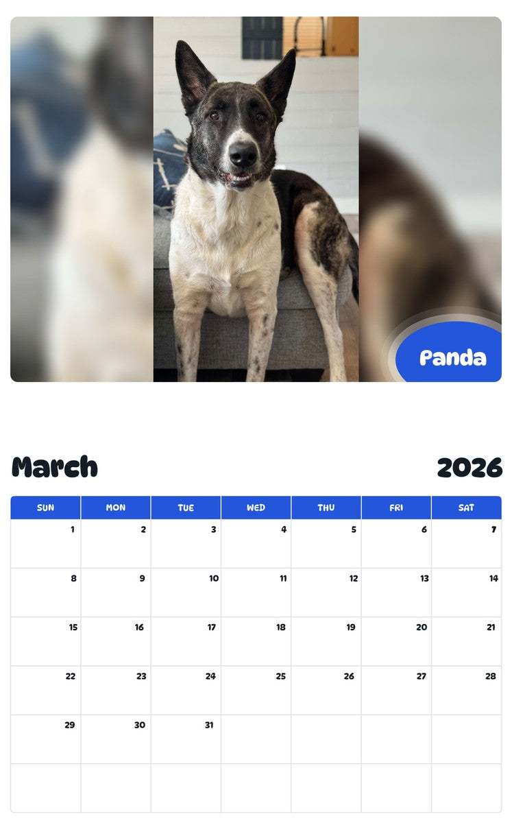 November 2025 - October 2026 Panda - Pawidols Pet Calendar