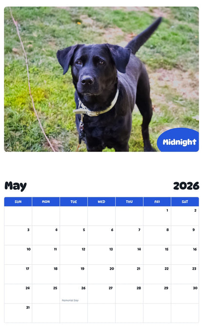 2026 - 2027 Midnight - Pawidols Pet Calendar