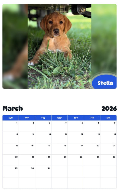 November 2025 - October 2026 Stella - Pawidols Pet Calendar