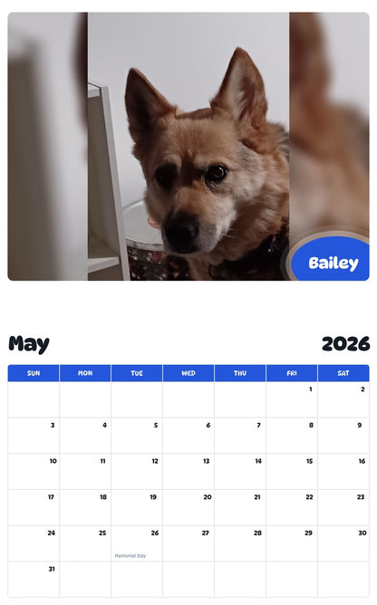 2026 - 2027 Bailey - Pawidols Pet Calendar