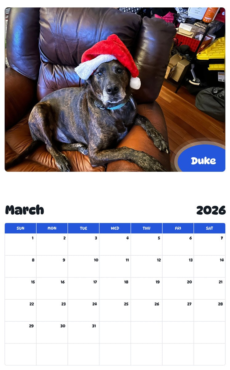 November 2025 - October 2026 Duke - Pawidols Pet Calendar