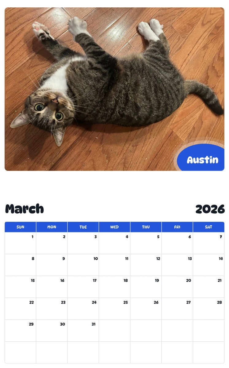 November 2025 - October 2026 Austin - Pawidols Pet Calendar