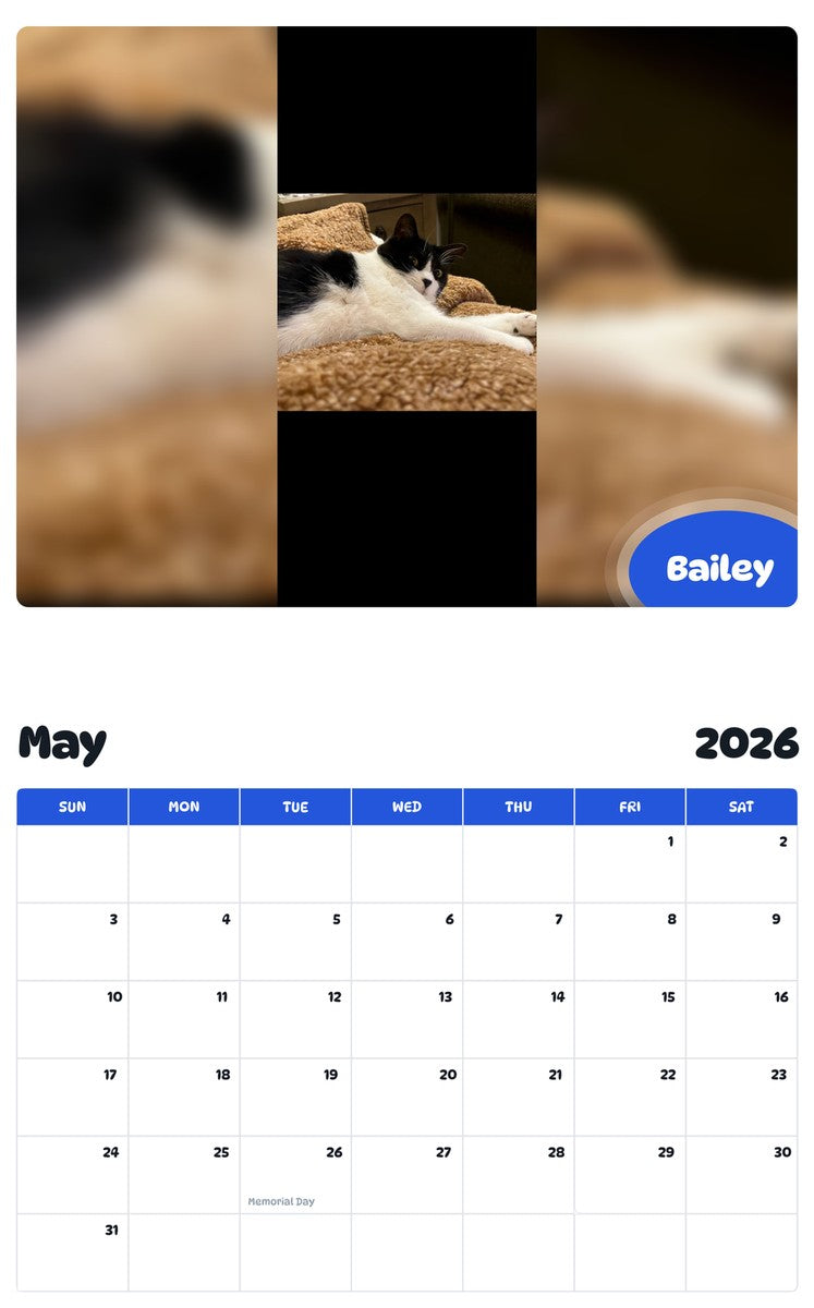 2026 - 2027 Bailey - Pawidols Pet Calendar