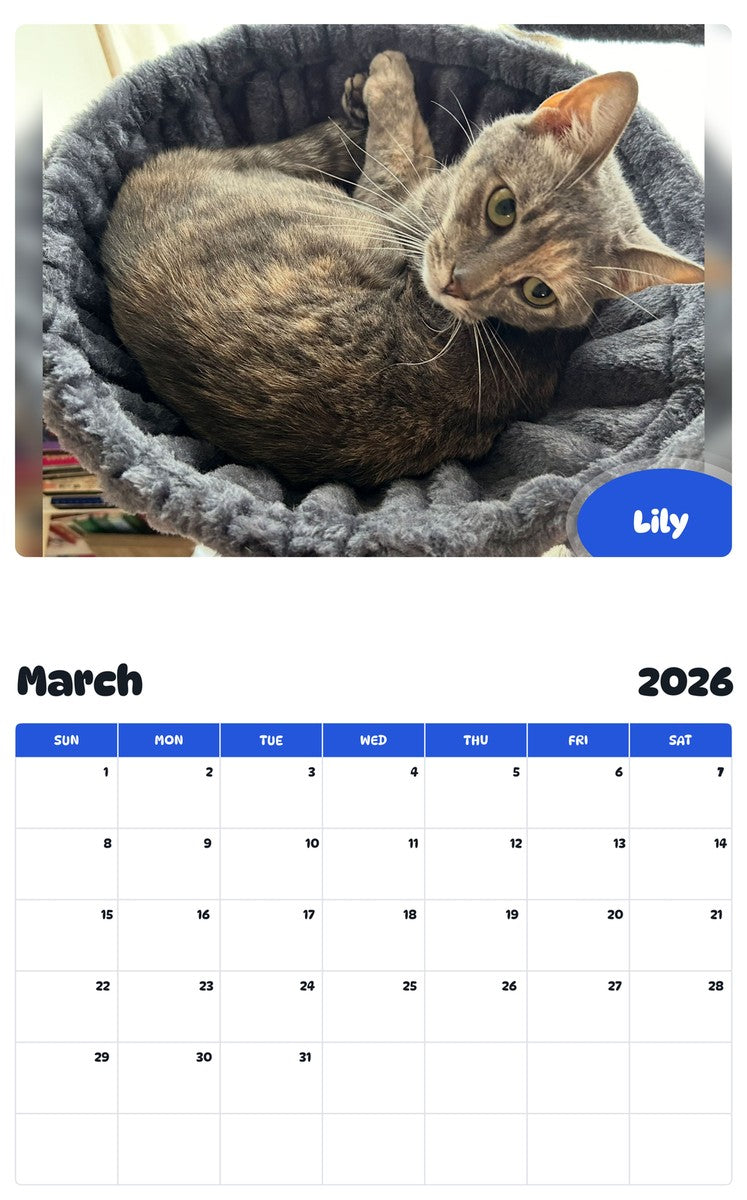 November 2025 - October 2026 Lily - Pawidols Pet Calendar