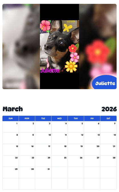 November 2025 - October 2026 Juliette - Pawidols Pet Calendar