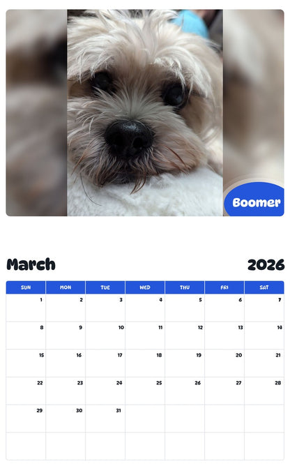November 2025 - October 2026 Boomer - Pawidols Pet Calendar