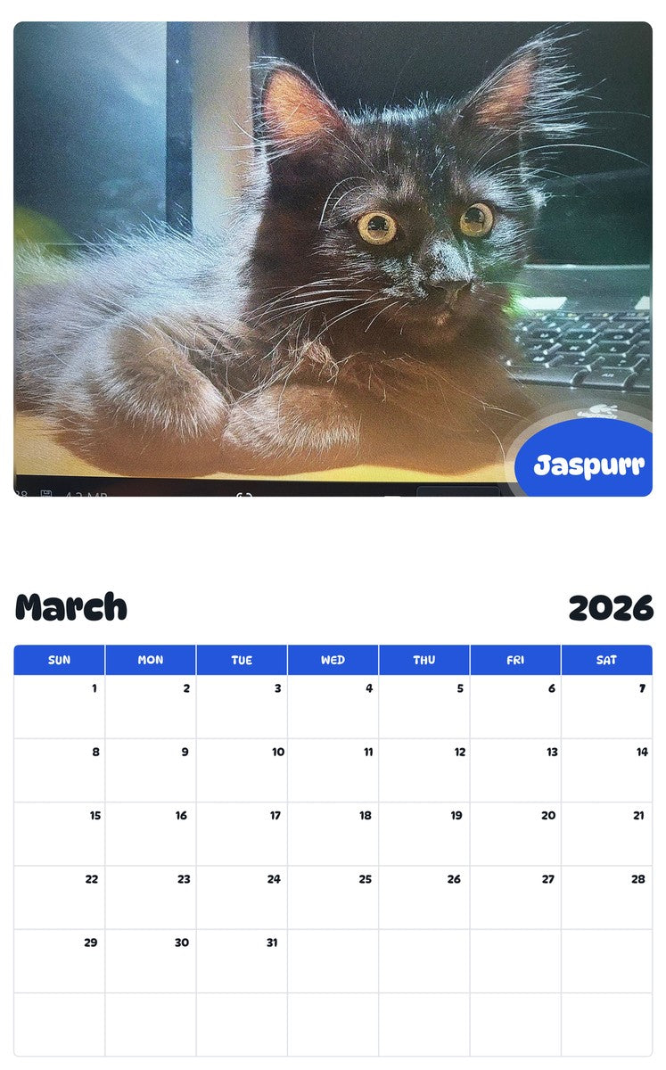 November 2025 - October 2026 Jaspurr - Pawidols Pet Calendar