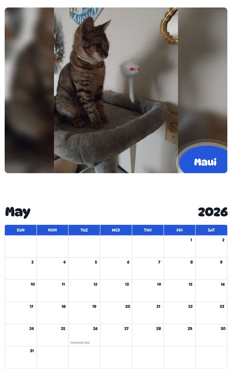 2026 - 2027 Maui - Pawidols Pet Calendar